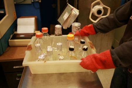Chemikalia